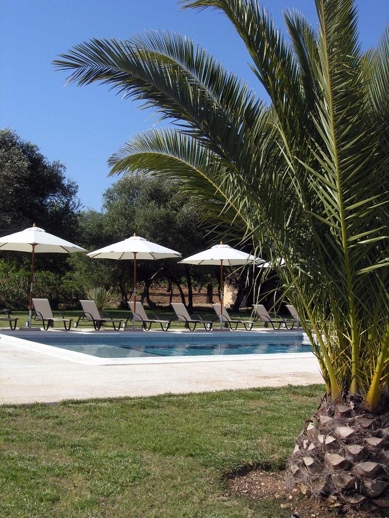 Finca Son Olive Selva  Buitenkant foto